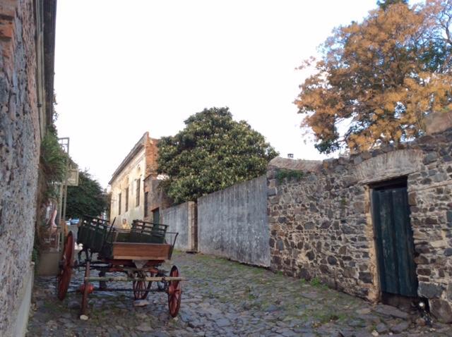 El Patio De Las Glicinas Colonia del Sacramento Esterno foto